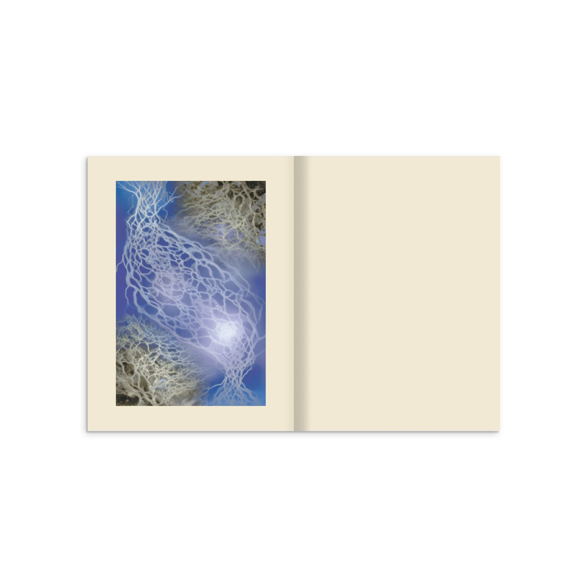 0c79eb0b-e4e9-4323-bf82-4640a4733427