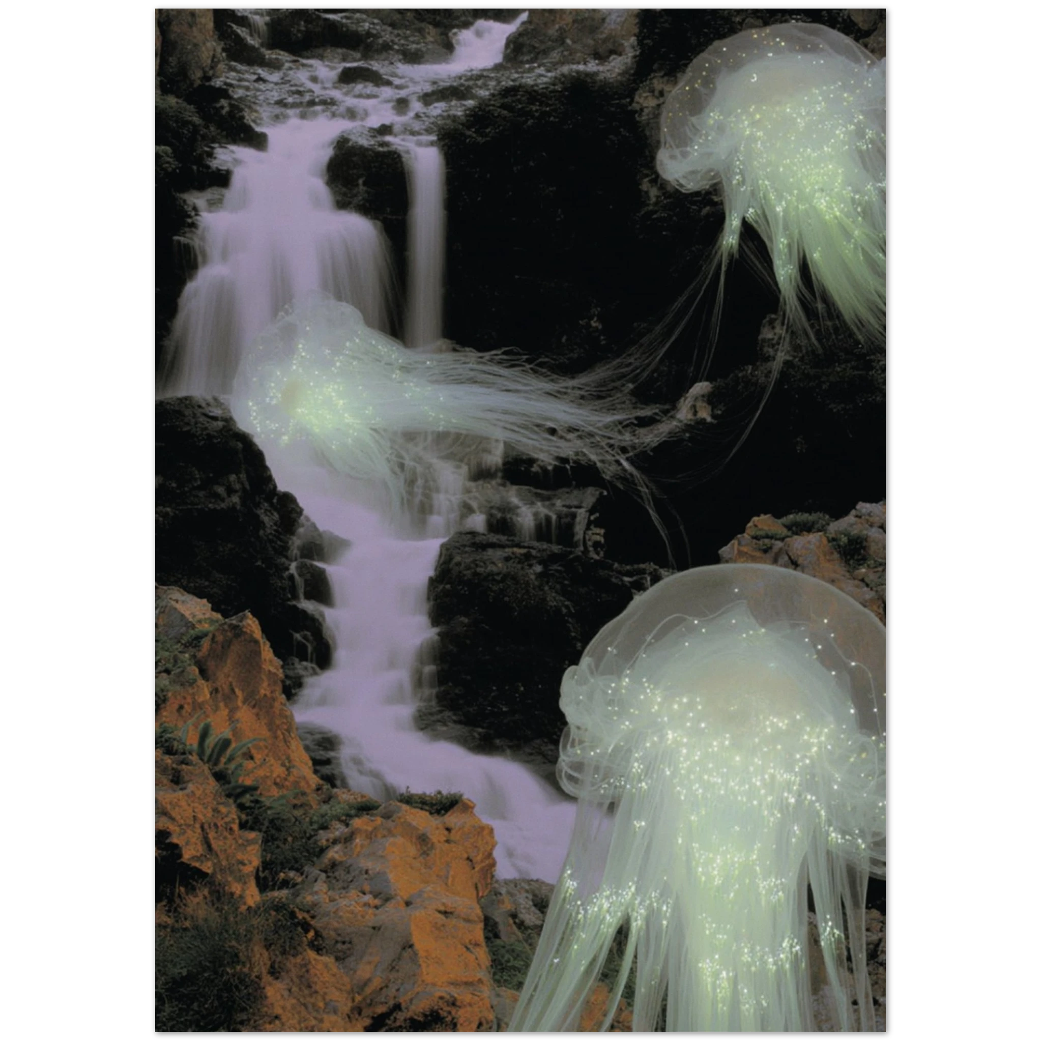 54a2903b-1678-4722-8535-043bfaa2b7d3