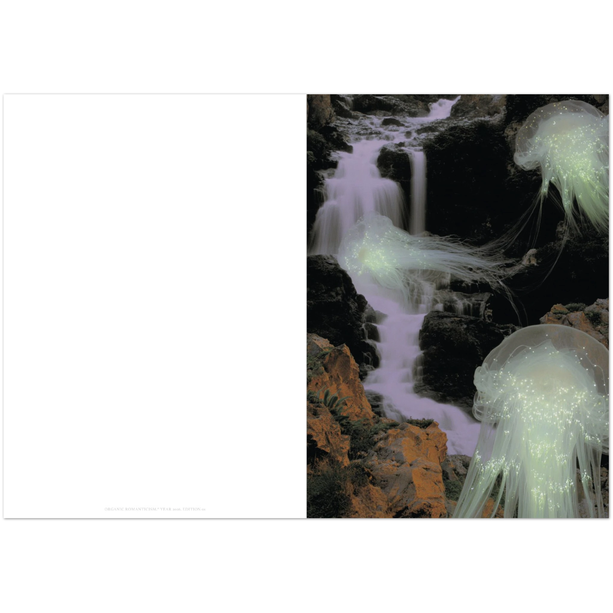 c270a3ee-1136-4299-b397-6928d43fee63